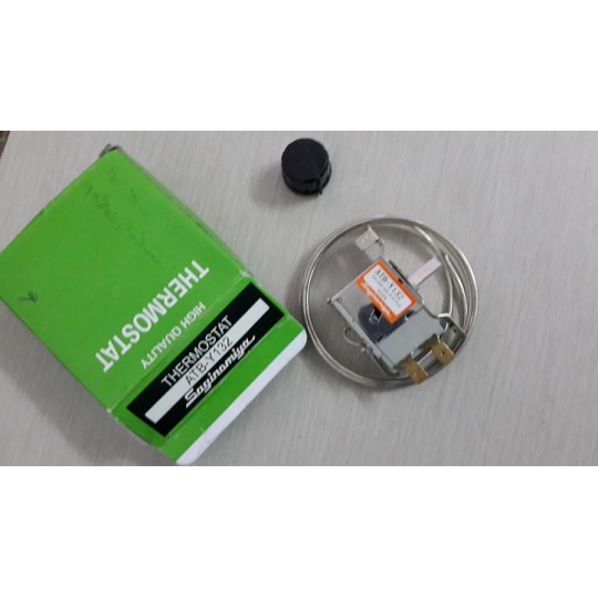 Cảm biến nhiệt độ (thermotas) am _duong